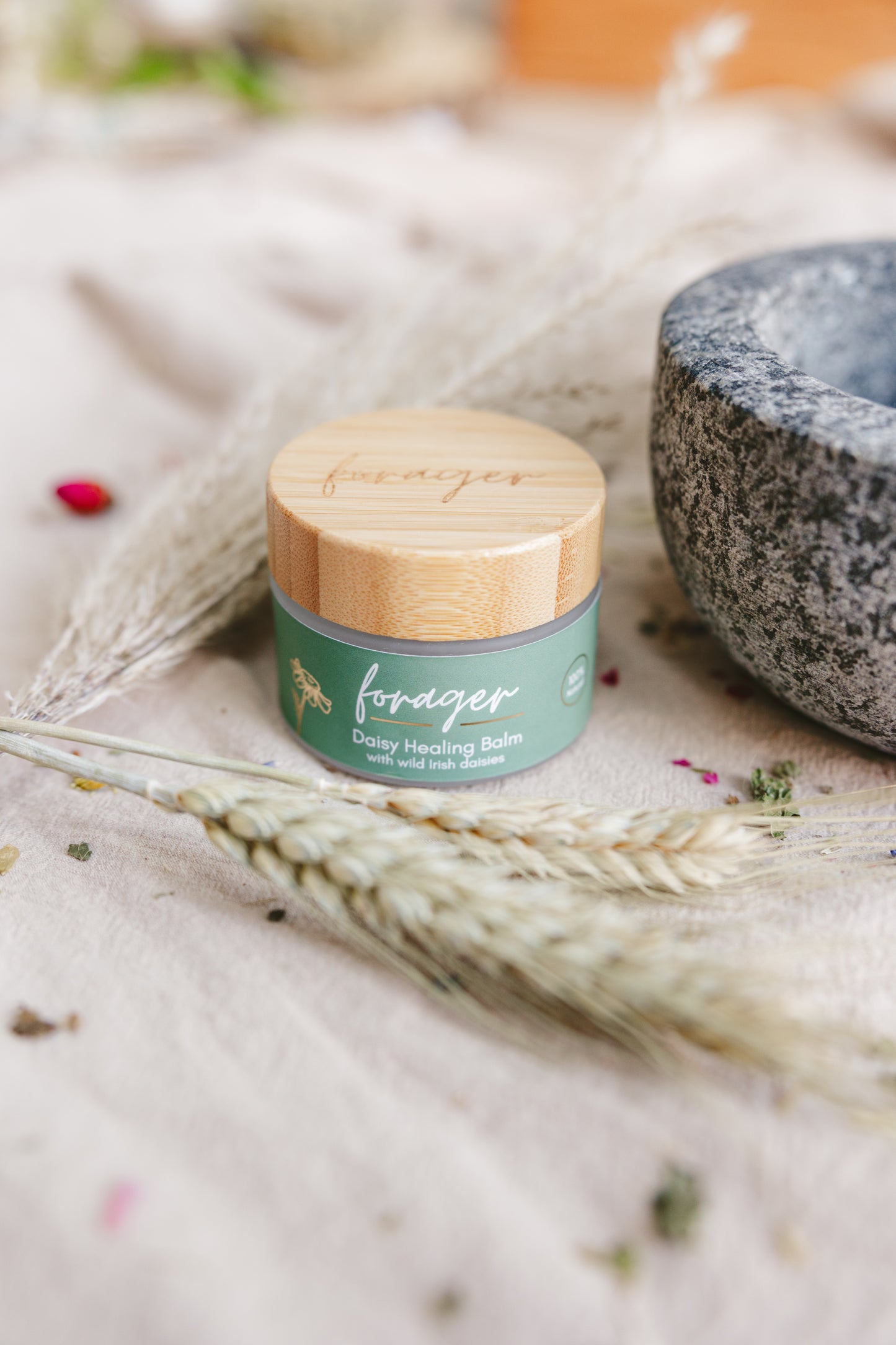 Daisy Balm Lavender