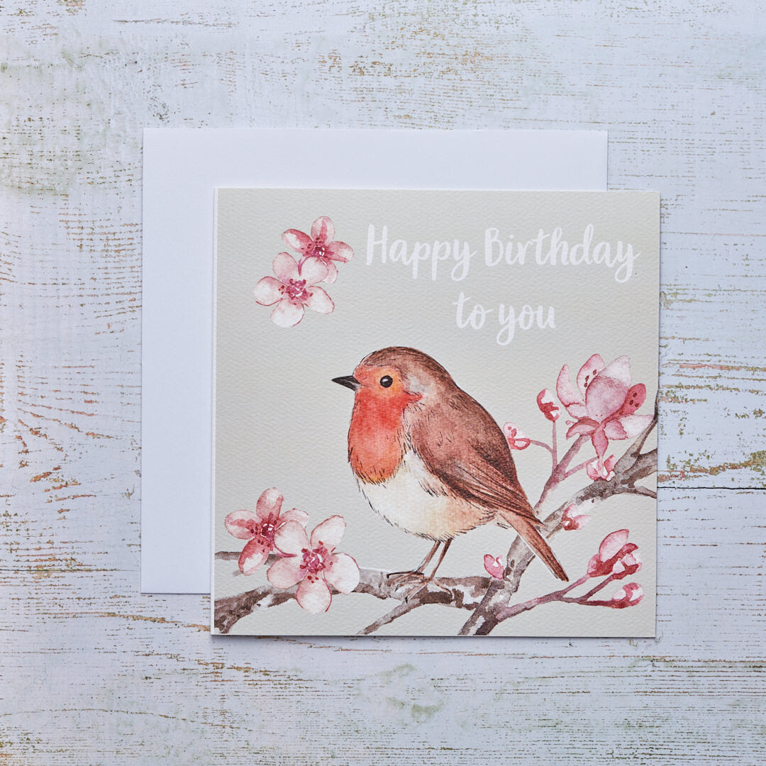 ROBIN BIRTHDAY CARD