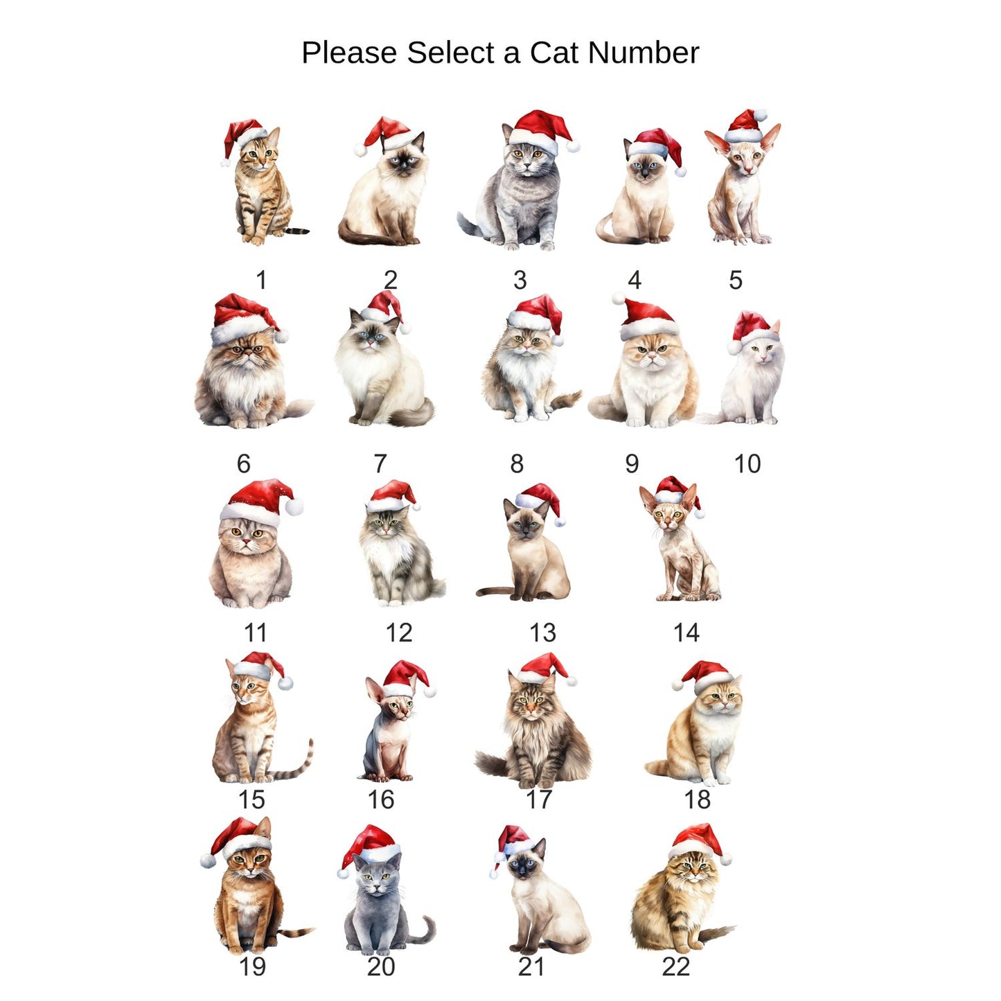 Personalised Pet Cat Decoration