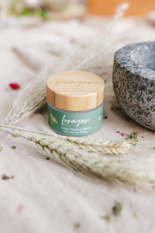 Daisy Balm Lavender