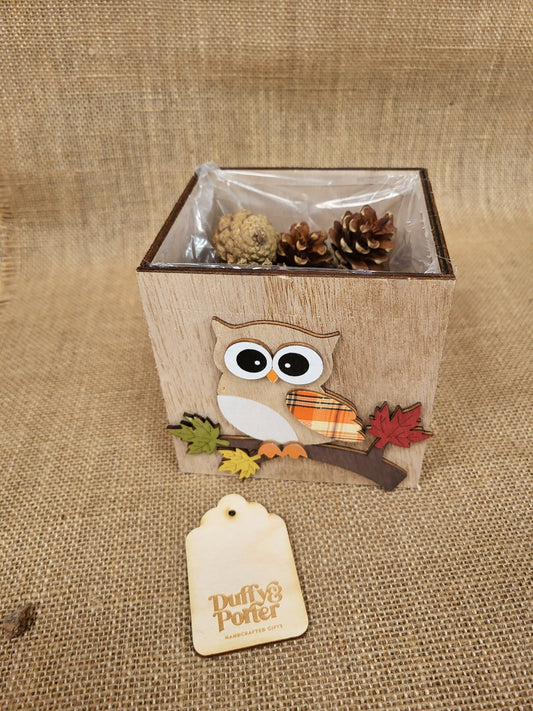 Wooden Owl Box