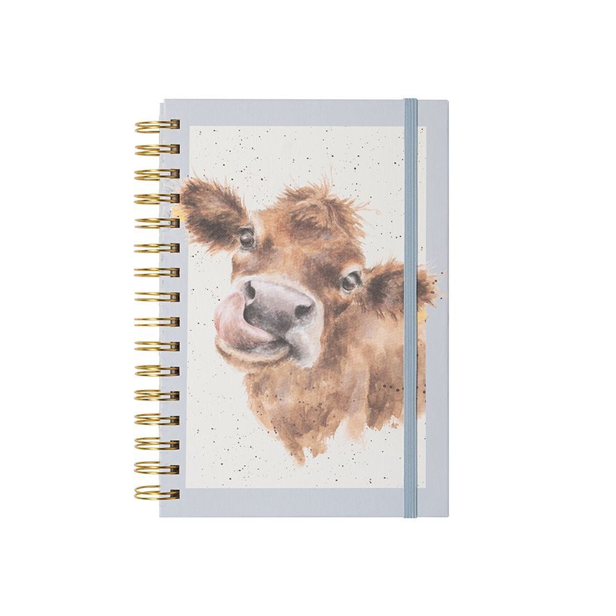 A5 Cow Notebook - Mooo (Blue)