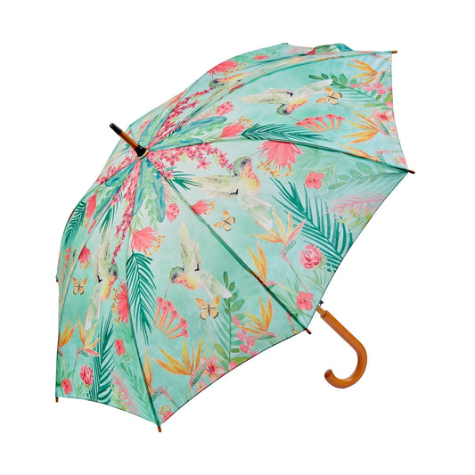 Umbrella Hummingbird