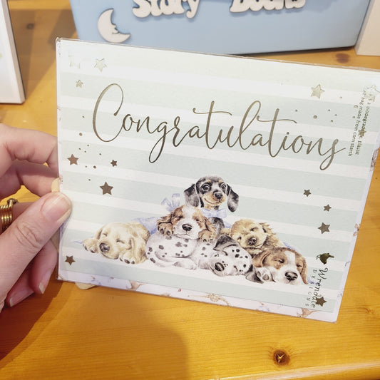 Congratulations Card Puppies