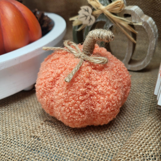 Autumn Pumpkin Orange