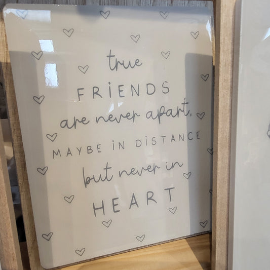 Moment plaque, true friends