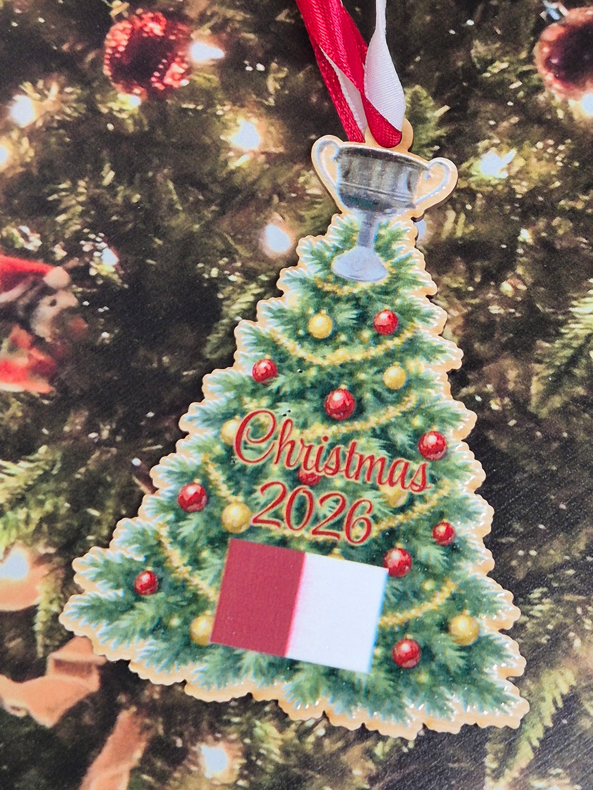 Galway Brendan Martin Cup (LGFA) Christmas Tree Ornament 2026 | Duffy & Porter