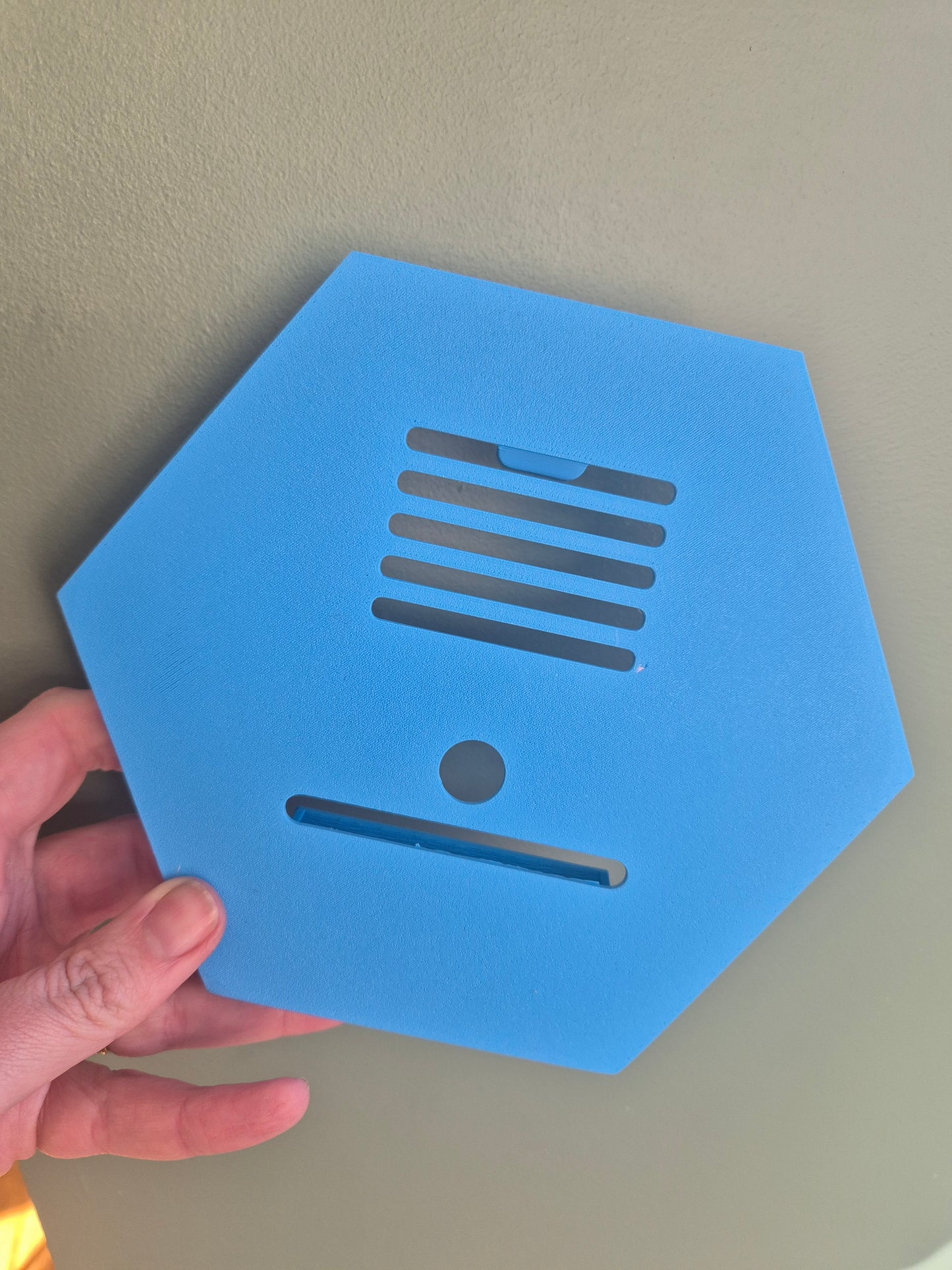 Elegant Hexagon Rosette Display